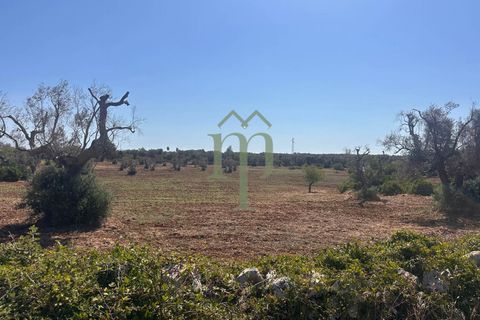 Ruinere i Carovigno, Brindisi, Carovigno - € 385.000 | Ref: Proprietà Pinea - foto 41